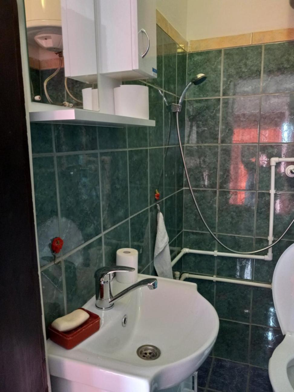 Apartman Sani Доньи-Милановац Экстерьер фото