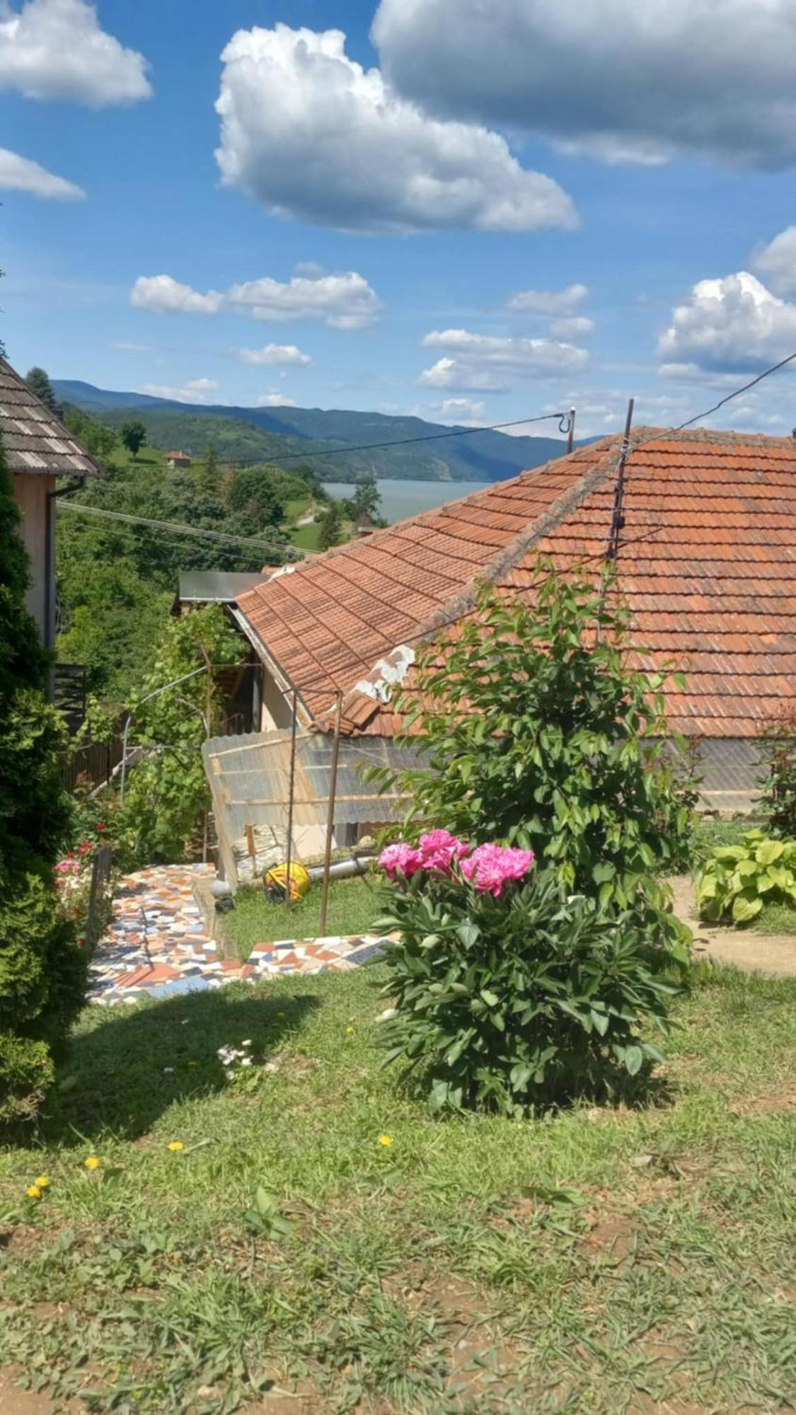 Apartman Sani Доньи-Милановац Экстерьер фото
